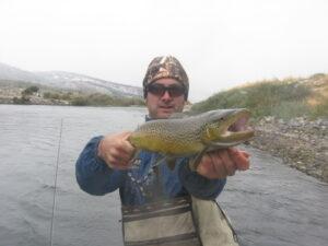A late Fall Brown trout in southeast idaho on the snake river