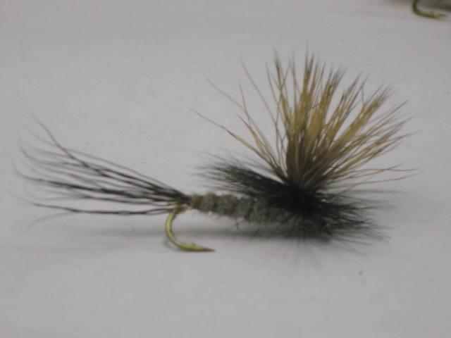 Grey drake trout fly