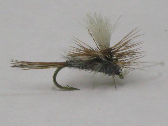 Parachute adams dry fly for trout