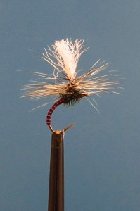 barbless hooks for brown trout