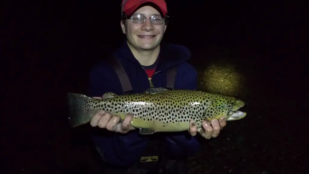 Brown trout caught in lake Taneycomo