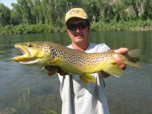 Brown trout fishing in Michigan.