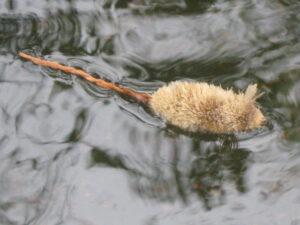 mouse fly floating brown trout flies