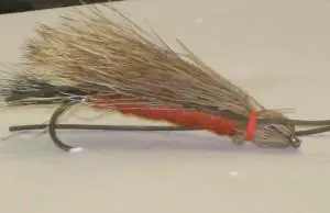 The Hedgehog Salmon Fly Pattern Tied By Brain Berry