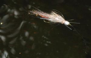 Salmon flies floating on the river. 
