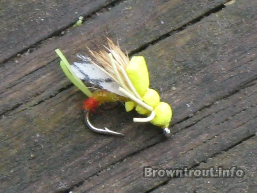 An adult Emerger yellow sally trout fly