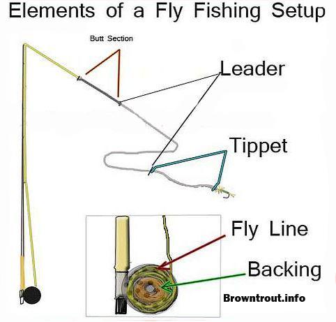 Fly fishing line store set up