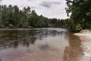 ausable river in mio Michigan brown trout fishing