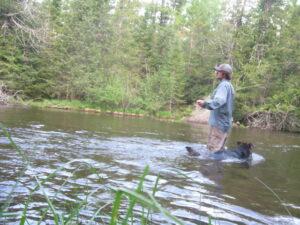 Fly fishing for brown trout