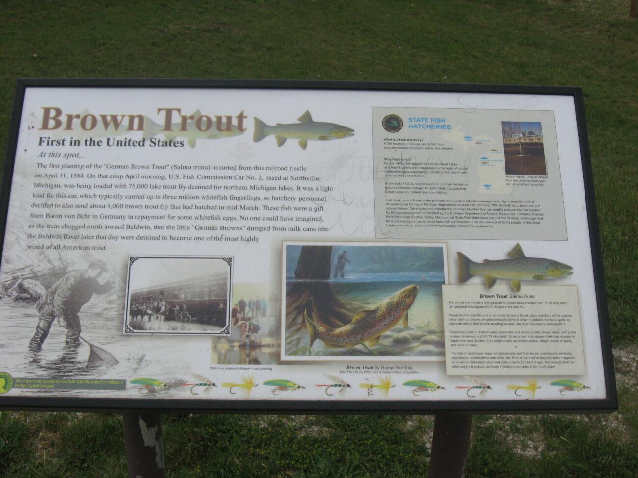 A sign in Baldwin, MI displaying the background of the Brown trout, brown trout pictures, brown trout images