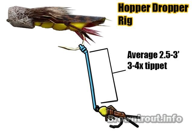 Hopper Dropper Rig For Fly Fishing, the hopper dropper rig, Hopper Dropper Rig For Fly Fishing, hopper fly fishing, hopper flies trout, how to tie a hopper dropper, hopper dropper rig, what is a dropper fly