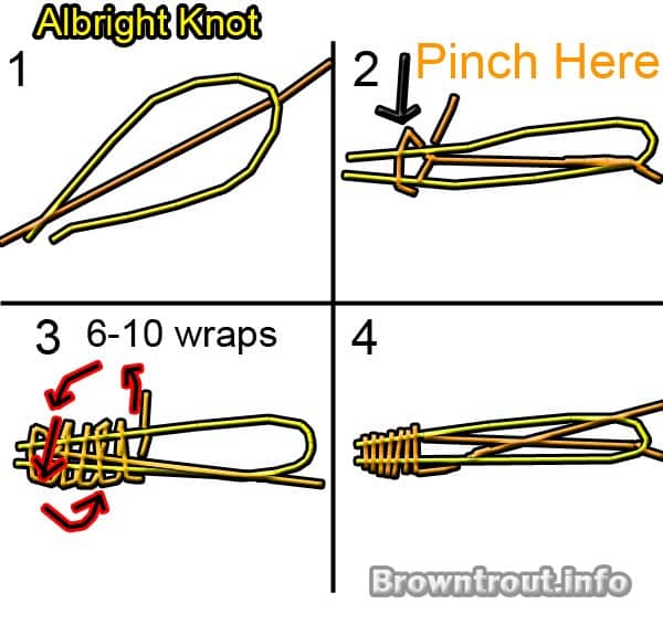 Albright knot tying instructions