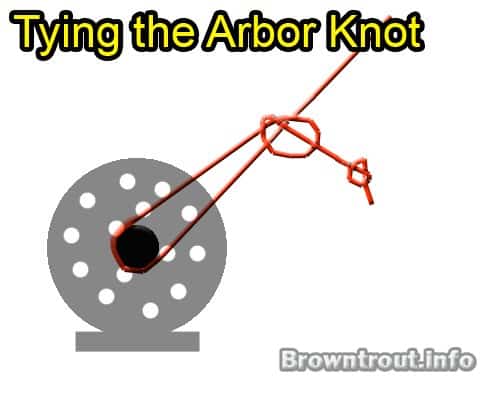 How to Tie the Arbor Knot, This connects your backing to a fly reel.