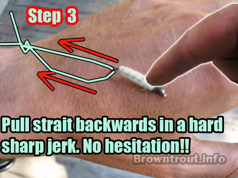 Fishhook removal painlessly 