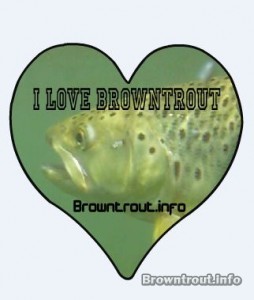 I love Brown Trout Sticker