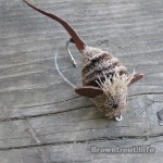 mouse fly made from deer hair