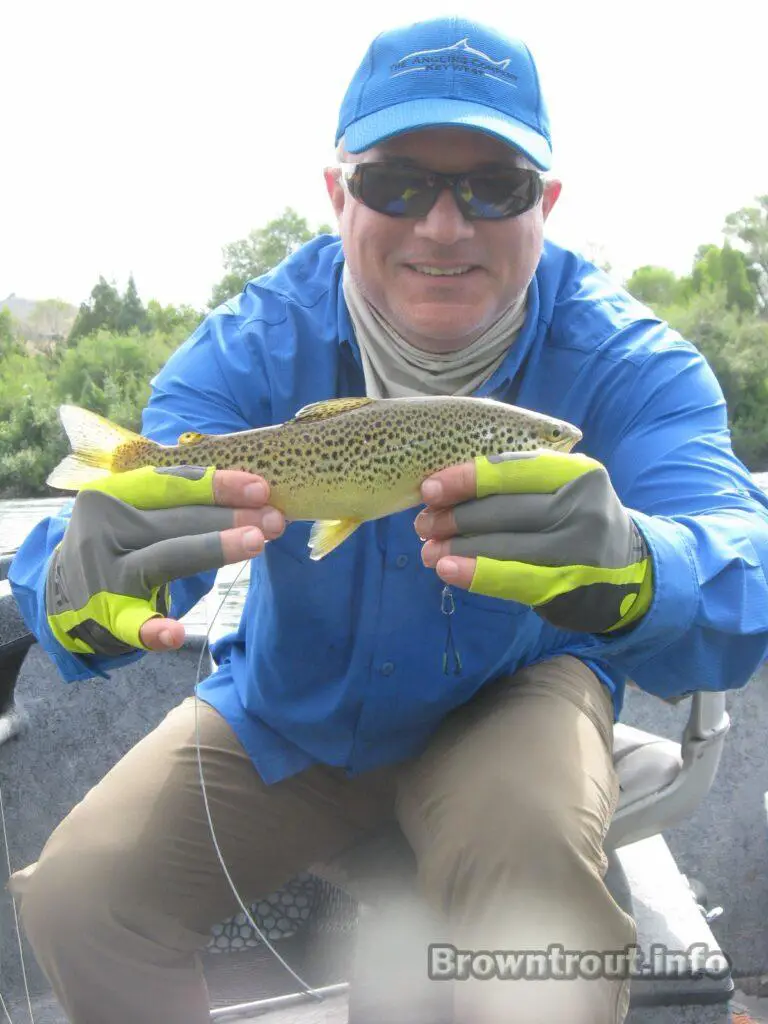 Trout with antennae for telemetry caught in Idaho