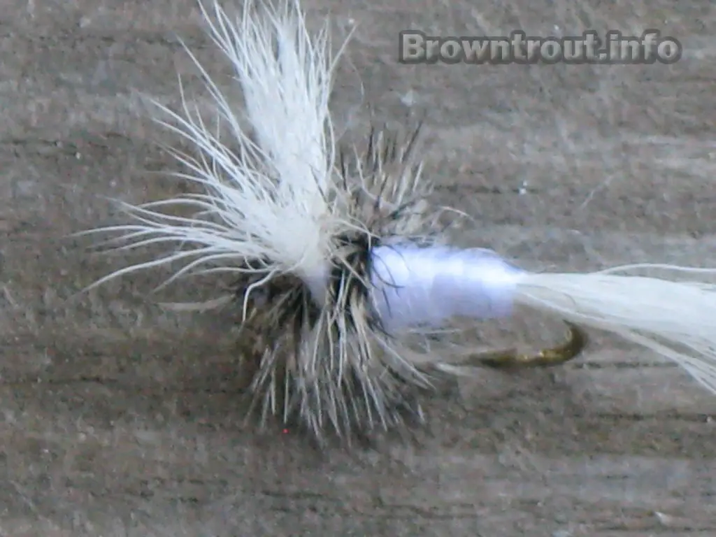 The Hair wing white wolf fly pattern. 