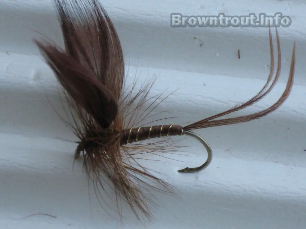 The Brown Drake Hatch and Fly Pattern. A Large Mayfly Trout Love!