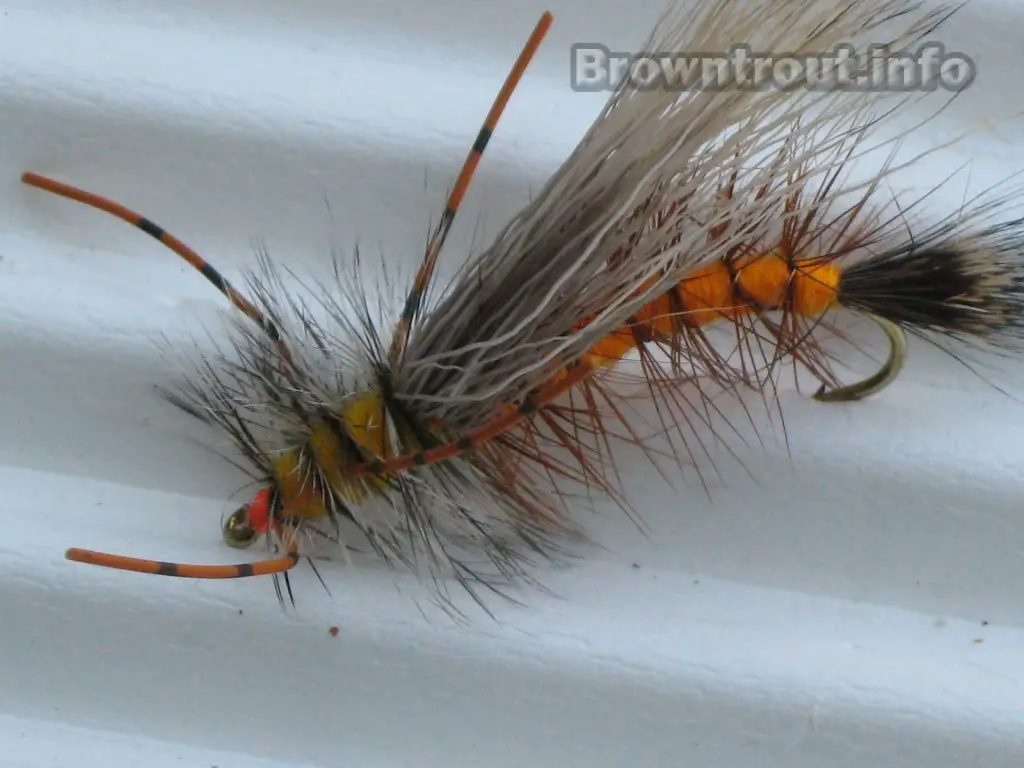 Large Orange Stimulator fly pattern with rubber legs