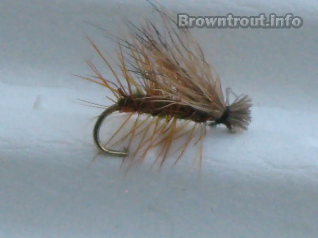 Elk Hair Caddis as a Spruce Moth Imitation