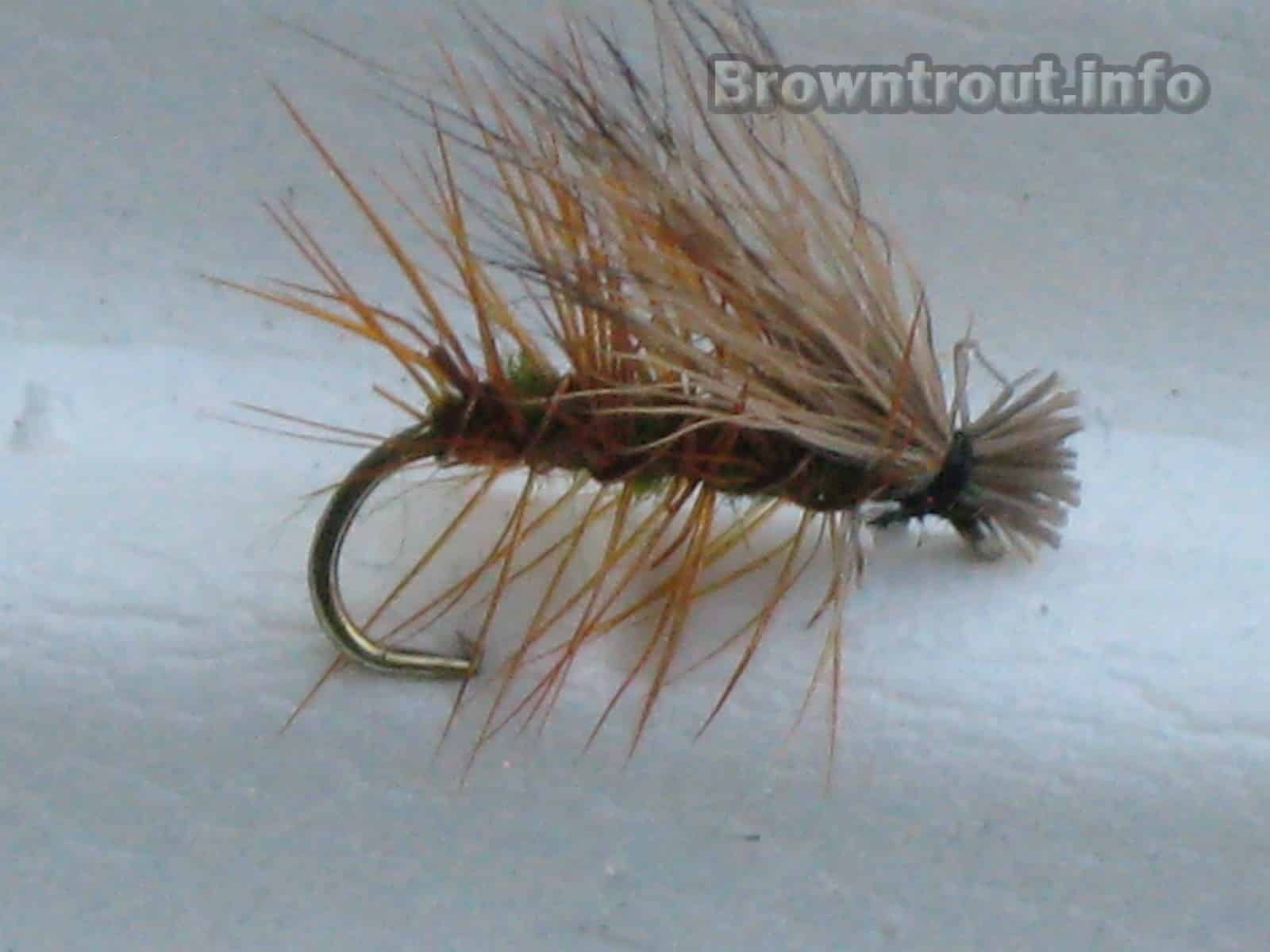 Elk Hair Caddis trout fly pattern