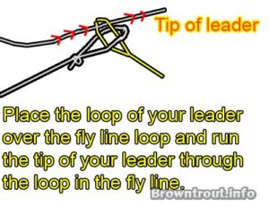 Loop to Loop Knot or connection.