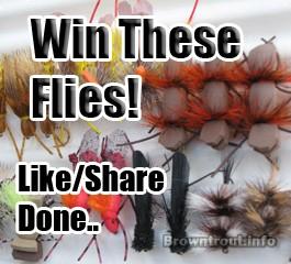 Win Free trout Flies
