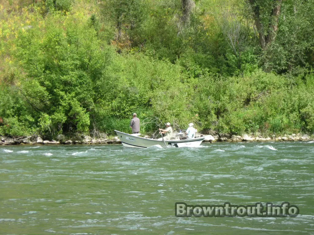 Fishing for trout during the brown drake hatch