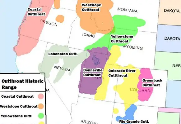 Cutthroat Trout Historic Range Map
