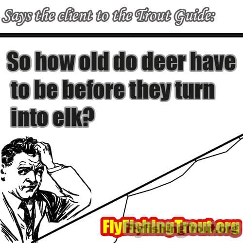 How old before deer turn to elk, Funny fishing pictures