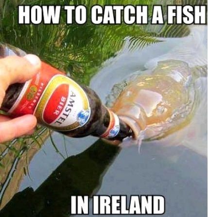 Funny Fishing Pictures and Videos –  – Fly Fishing Tips and  Tactics