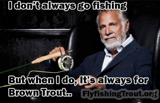 I don't always go fishing..funny fishing pictures 2021, fishing pics