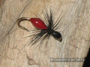 Tying the Transpar-ant fly with epoxy.