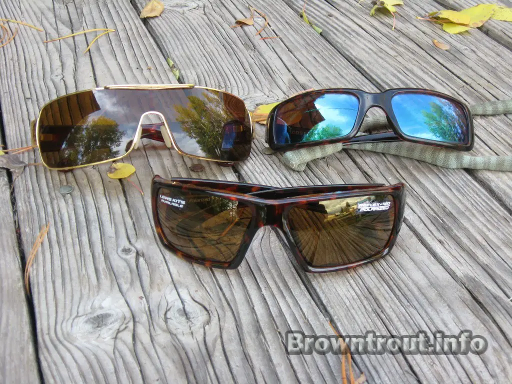 Polarized Sunglasses and Options