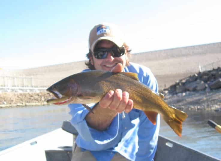 Yellowstone Cutthroat Trout, Snake River Fine Spotted