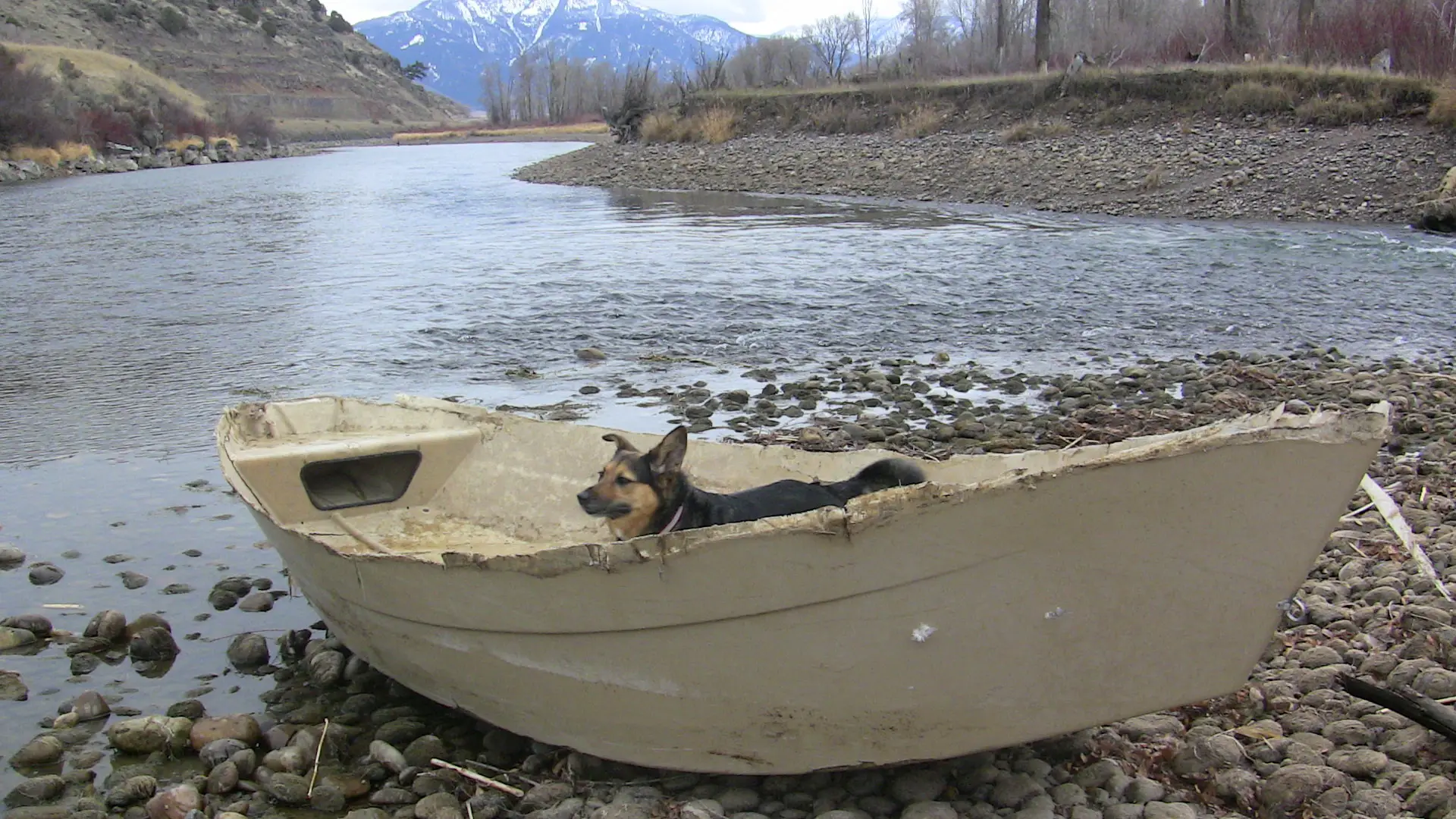 Dog in sunken driftboat.