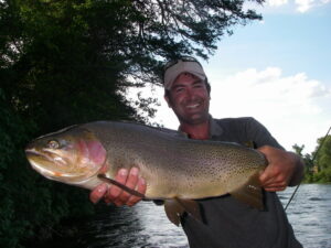 Rainbow Trout 2 Hybrid Rainbow trout, steelhead trout vs rainbow trout, steelhead vs rainbow trout, do rainbow trout have scales