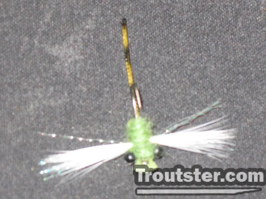 The underside of the damsel trout fly.