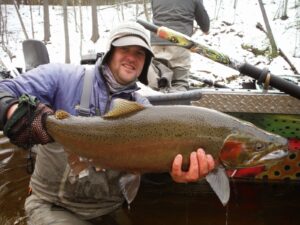 Rainbow or steelhead