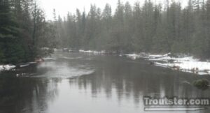 A trout stream in the dead of winter.