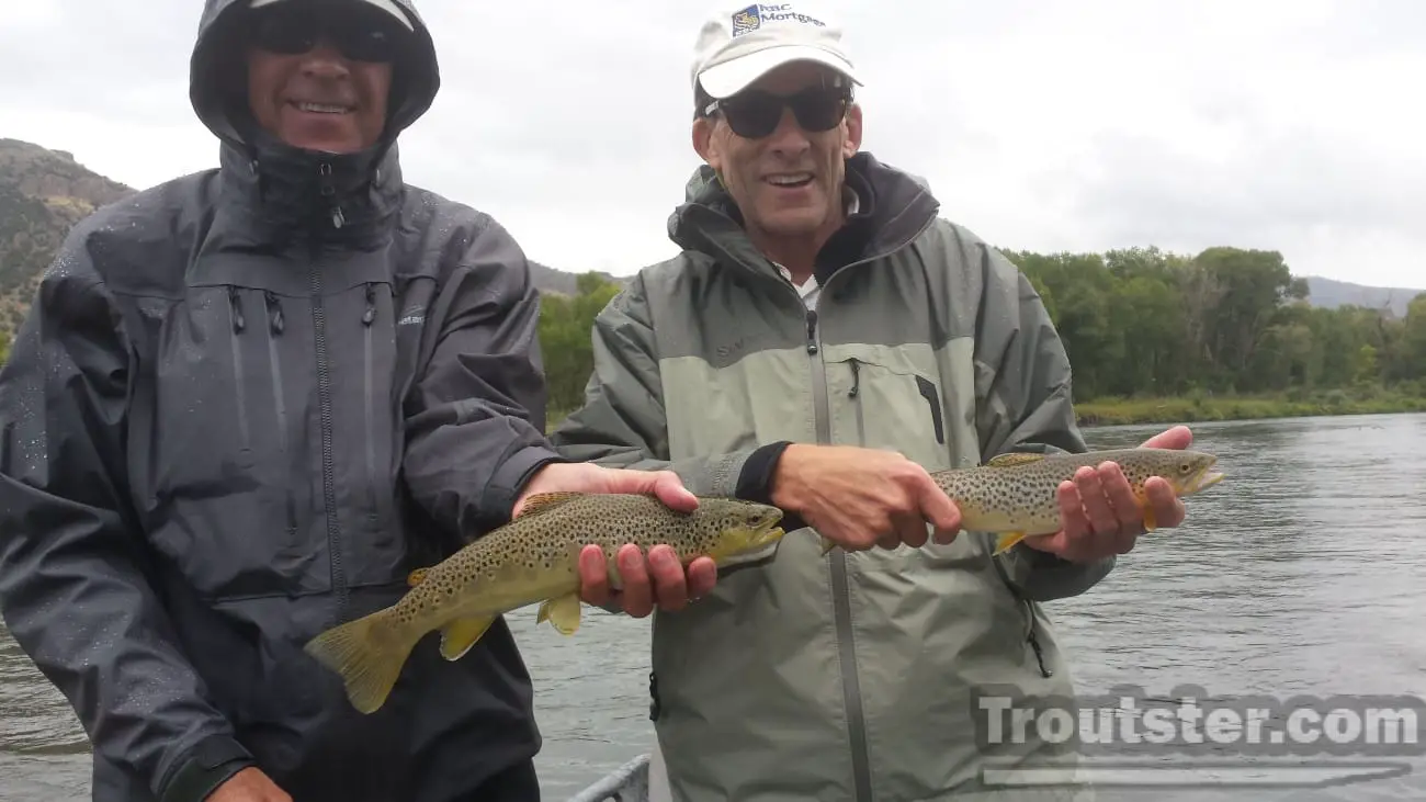 A "double" 2 nice trout caught on small dry flies