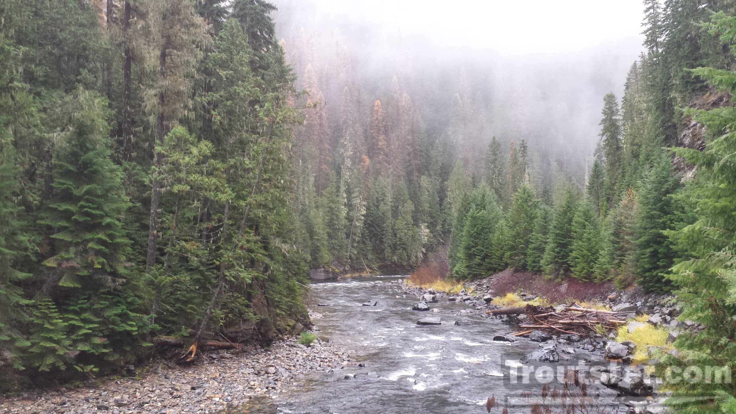 Fishing the rain for trout in Northern Idaho