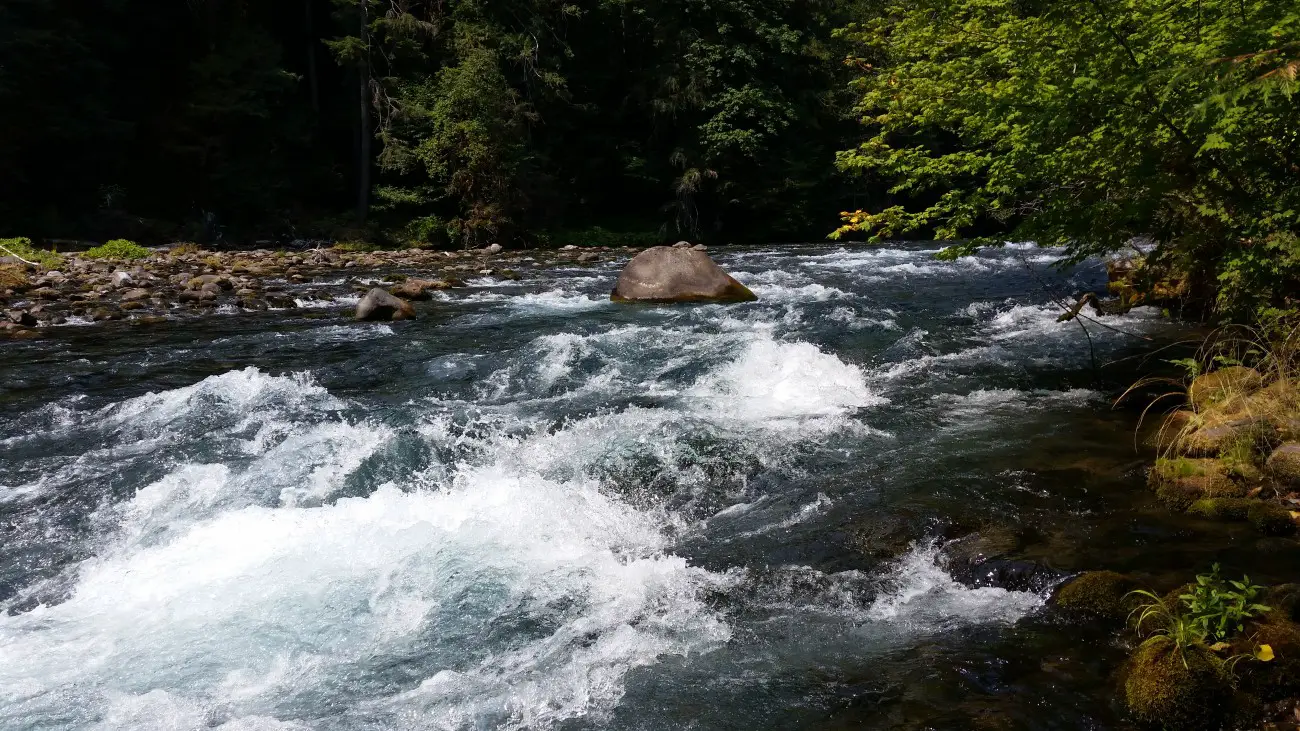 Whitewater section of the Mckenzie river