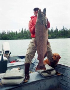 80 pound King salmon caught in Alaska, king salmon fish, king salmon facts, king salmon life cycle, what is king salmon, king salmon size, how long do king salmon live