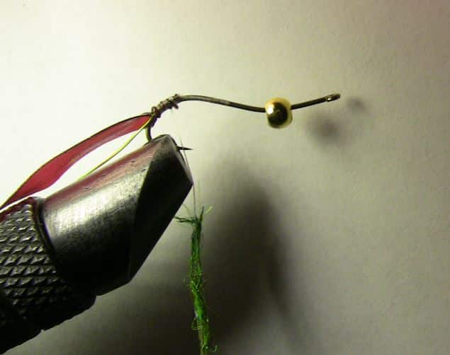 Attaching the latex back to the hook and begin dubbing your caddis larva