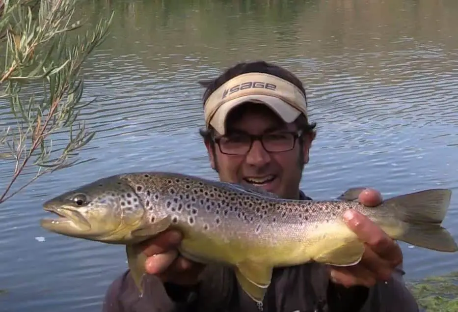 Big Oregon brown trout