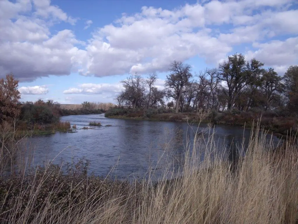 Bighorn River