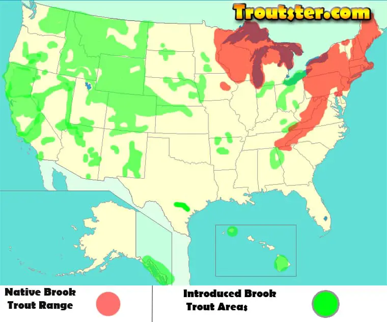 A map of the current and native range of the brook trout