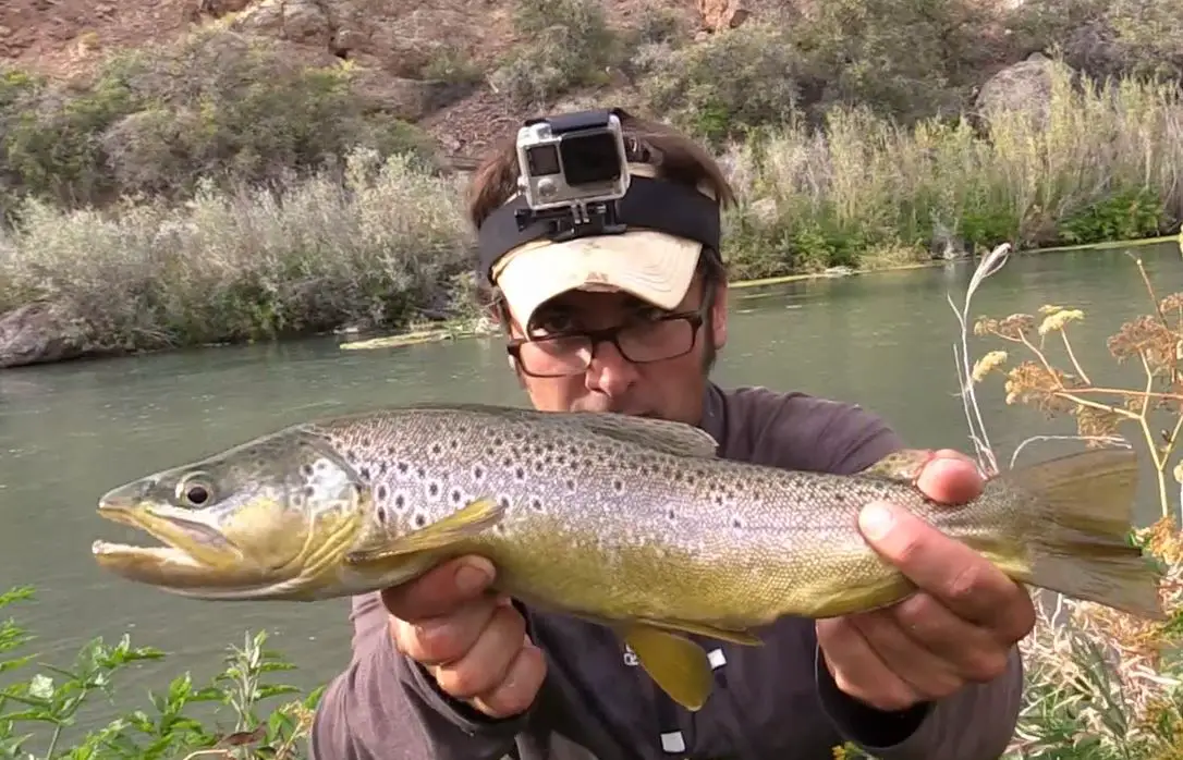 Catching big trout using a gopro